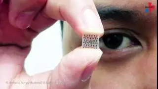 Light microscope ChipScope - a glimpse into living cells