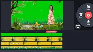 Grin Skin Status Green screen video l green screen heroine