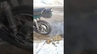 Сова 175