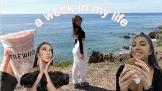 A week in my life in LA: MAC Event, Meetings, Shopping, Food