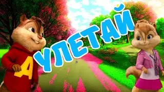 Никогда я Тебя не Забуду  Ну Так Мило Бурундук Спел ! Я Просто в Шоке !