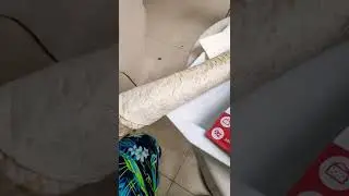 шаурма в Москве за 1080