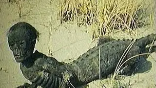 Paranormal Creatures Caught On Camera