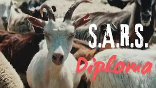 S.A.R.S. - Diploma feat. Biške (Official video)