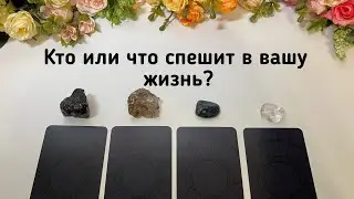 КТО ИЛИ ЧТО СПЕШИТ В ВАШУ ЖИЗНЬ? Гадание онлайн на таро tarot