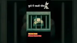 कुत्ते में नकली पॉवर