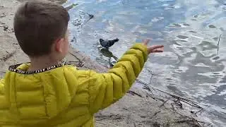 На озере с утками 2