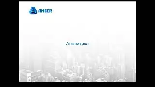 Аналитика (AMBER HRMS)