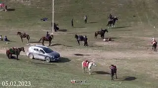Yakkabog' Shov ko'pkarisi  05.02.2023  Ko'pkari Boshlandi
