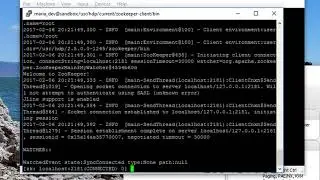 065 Activity Simulating a failing master with ZooKeeper