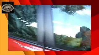Prius blackout windows (Prius camper)