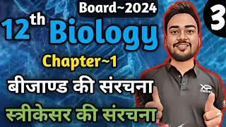 Class 12 Biology Chapter 1 | Part-3 | Structure Of Ovule | Structure Of Pistil | Megasporogenesis