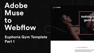Adobe Muse to Webflow | Rebuilding Europhia Gym Template in Webflow Part 1