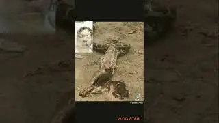 Sinubo Pero Hindi Malunok Ni Beshy