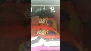 Как переночевать в легковом автомобиле
