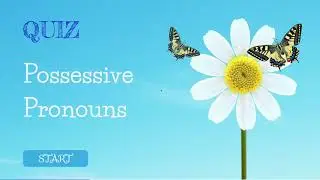 Possessive Pronouns and Whose...? - Grammar Rule and Quiz - Pronomi Possessivi