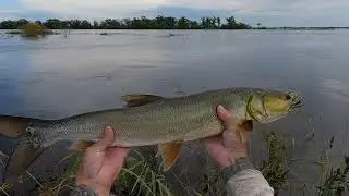 Сумашедшая рыбалка!!! Рыба при каждом забросе!!!