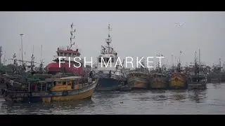 Fish market (India, Visakhapatnam)