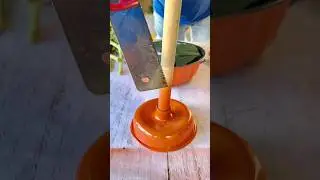 Vibrant Fall decor to Brighten any Home