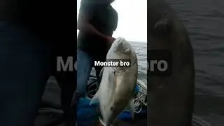 strike monster
