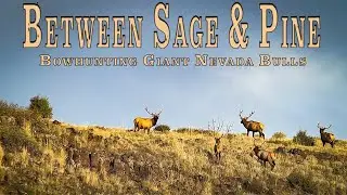 Bowhunting Giant Nevada Elk, Between Sage & Pine
