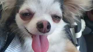 끙아 덥지? 그래 떠나자 동해바다로 ~~