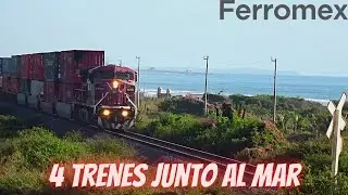 El tren y el océano se unen en Sinaloa