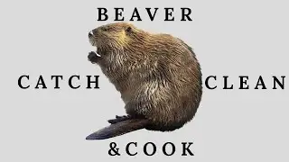 Beaver Catch, Clean & Cook