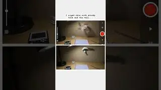 Animating Stop Motion Paper 