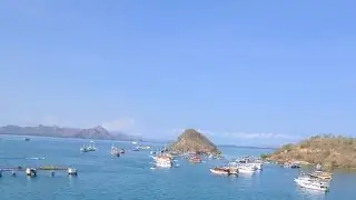 Komodo Islands Wild Charles LIVE!