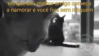 EIS QUE SEU MELHOR AMIGO COMEÇA A NAMORAR E VOCÊ FICA SEM NINGUEM