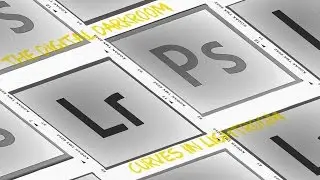 Digital Darkroom Curves