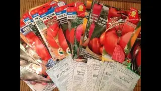 THE BEST Tomatoes of the Year !!! Which TOMATOES I Won't Grow Again !!!