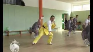Shi Bo Shi Xing Hong  - Wushu Kung Fu - prima parte ( inglese )