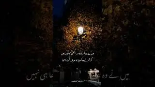 bara sataya hai 💔🥀 Aesthetic_editz #urdulovers#newsong#lines#love#humtvdrama#haniaamir#sadstatus