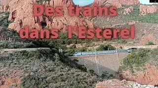 Des trains dans l'Esterel