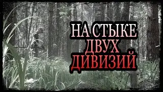 На стыке двух дивизий РККА (50-я и 144-я). Старое 