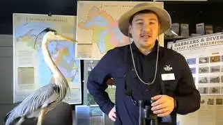HOMES at Home Birdventures Episode 1