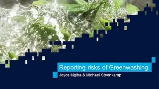 The reporting risks of greenwashing
