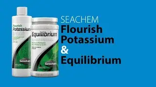 Seachem Equilibrium Review