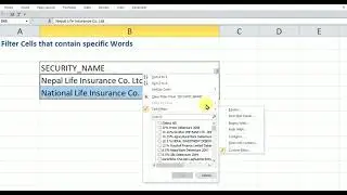 Filter Cells that Contain Specific Words in Microsoft Excel