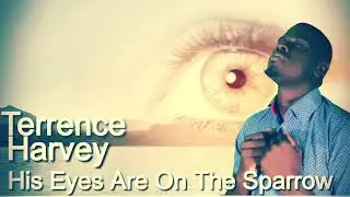 His Eyes Are On The Sparrow (2020 Reggae by Terrence Harvey)