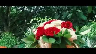 Wedding Trailer Anie & Yowie. Chinese Christian Wedding by Shine Bridal