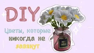 Лучший подарок на 8 марта | Цветы, которые никогда не завянут