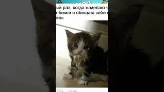 МЕМЫ просто МЕМЫ 