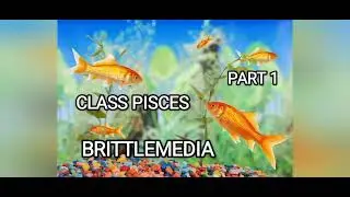 PISCES|PART 1|MGU||SEM3|NOTES|ZOOLOGY|BRITTLEMEDIA