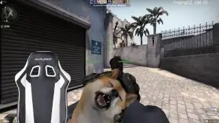 Theonemanny stream