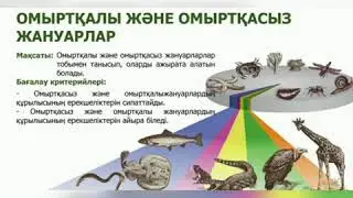Омыртқалы және омыртқасыз жануарлар ⚫3сынып