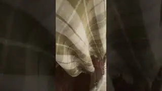 Бетонные столбы для забора.