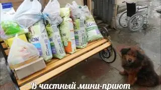 Отчет о работе Фонда 